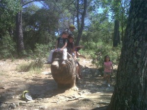 Anglais pour enfants montpellier